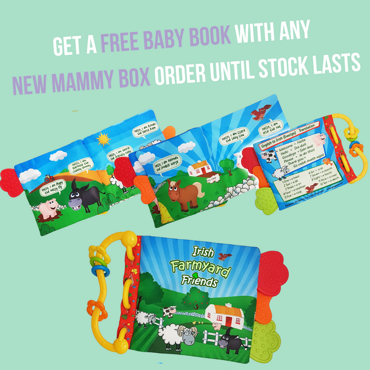 The New Mammy Box